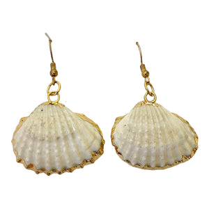 Natural Shell Earrings
