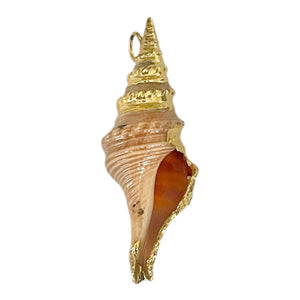 Single Charm - Large Spiral Shell