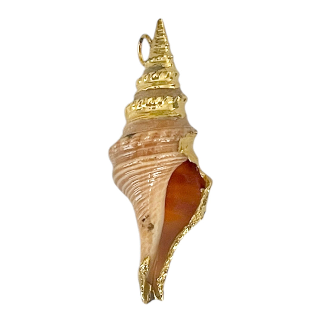 Single Charm - Large Spiral Shell