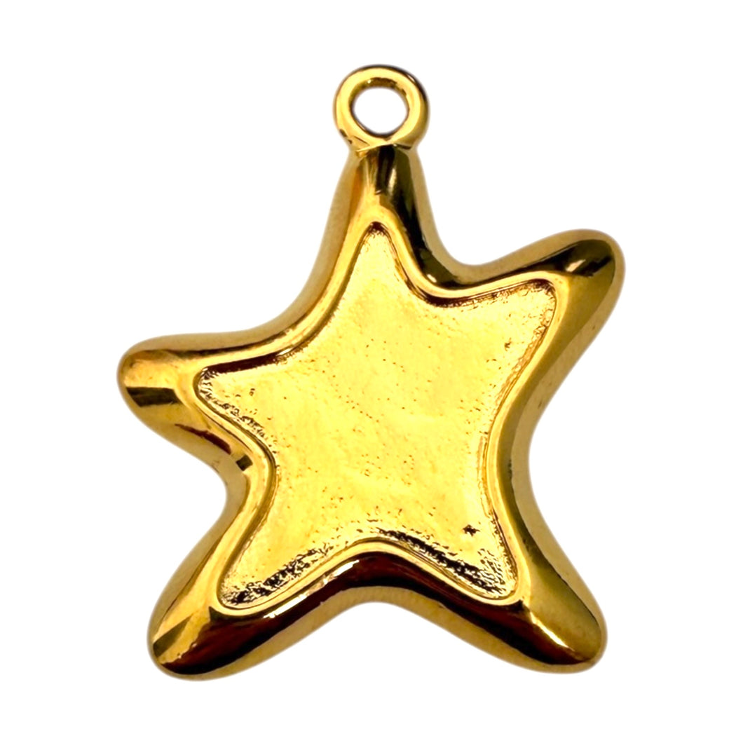 Single Charm - Large Star