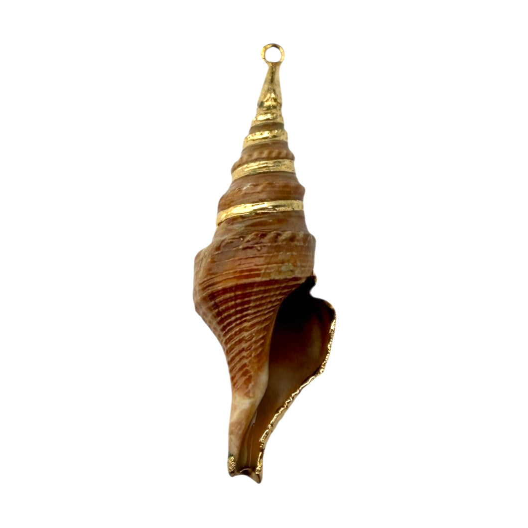 Single Charm - Large Spiral Shell