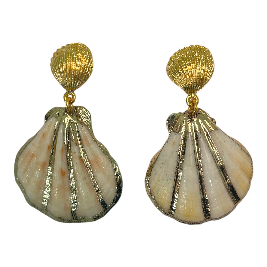 Shell Earrings #2 (1/1)