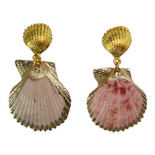 Load image into Gallery viewer, Shell Earrings #3 (1/1)
