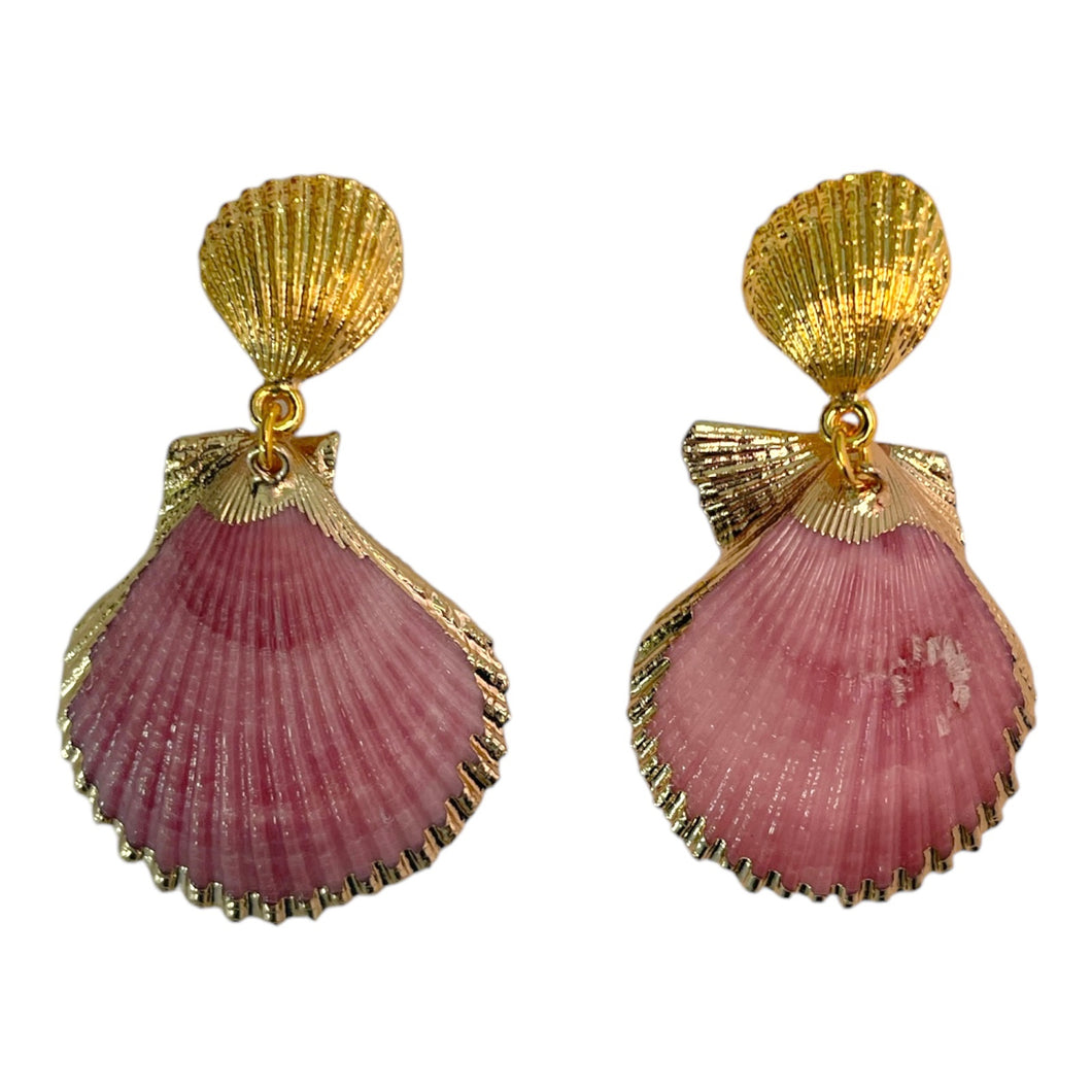 Shell Earrings #6 (1/1)